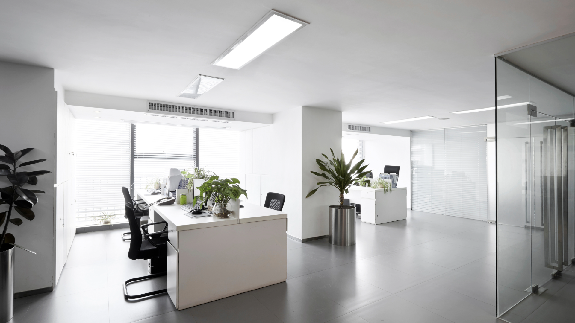 Modern Office Build-Out